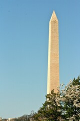 Obraz premium Vertical shot of the Washington Monument in blue sky background on a sunny day
