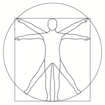 Vinci, icon Vetruvian Man, vector human body anatomy