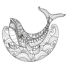 Whale hand drawn for adult coloring book