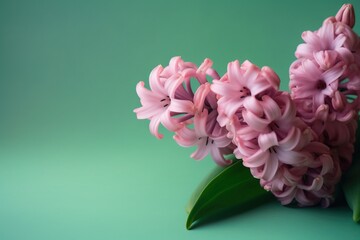  a bunch of pink flowers sitting on top of a green table top next to a green leafy plant on a green surface with a green background.  generative ai