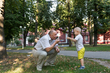 A little grandson in yellow shorts carefully and lovingly feeds a balding grandfather with popcorn from a yellow glass in an amusement park...