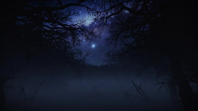 Camera fly through dark foggy horror forest with space for text or logo
