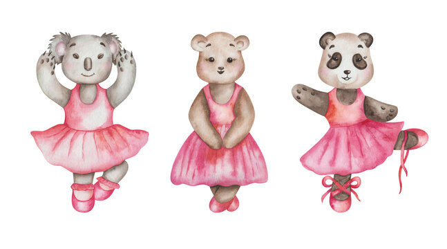 Watercolor illustration. Hand painted cartoon bears in dance studio in pink dress, ballet shoes. Koala, black and white panda, teddy bear. Animal character. Isolated clip art for children textile