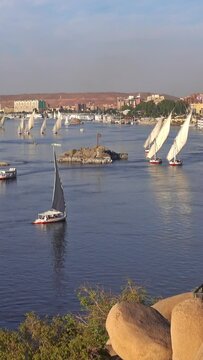 Beautiful landscape with felucca boats on Nile river in Aswan at sunset, Egypt. Vertical video