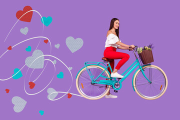 Creative collage picture of positive girl ride bicycle fresh flowers basket drawing hearts isolated on violet background