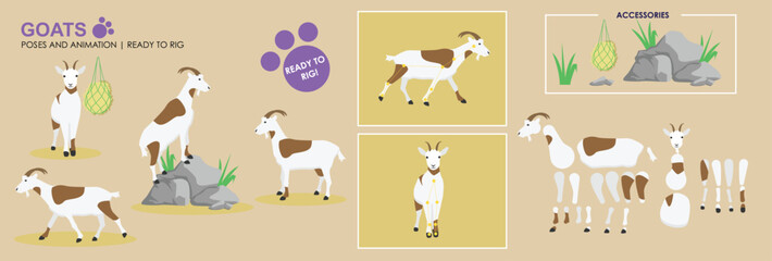 Goat vector ready to rig for animation. White mountain goat collection, multiple poses, cute character.	

