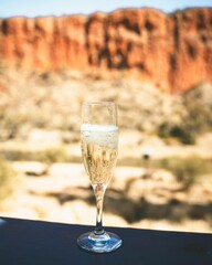 Vertical closeup of a glass of champagne sunlit steppe view blurred background