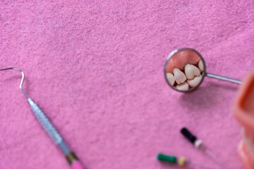 Closeup of the extracted tooth is seen in the mirror, with the pink disposable field background