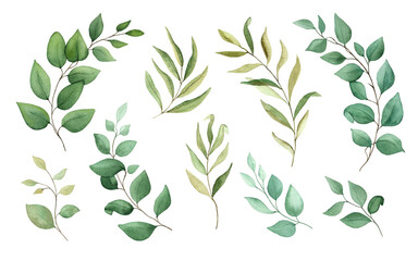 Set of watercolor green branches.