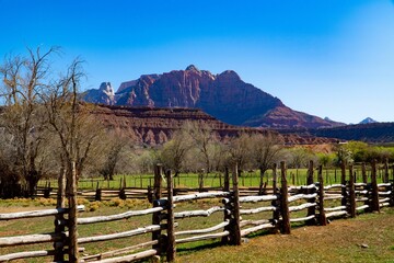 Closeup of a part of Zion national park with trees and wooden fence and a canyon in the background