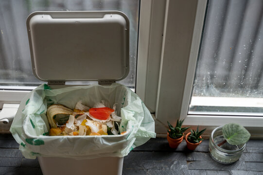 Bin For Compostable Food Waste On Kitchen Windowsill