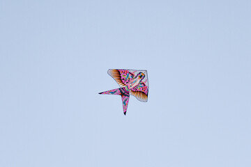 Kites in the Sky Traditional Kites