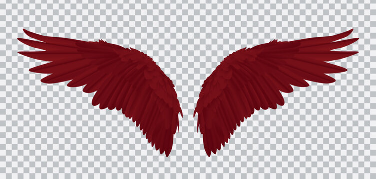 Pair of red realistic wings on transparent background vector illustration