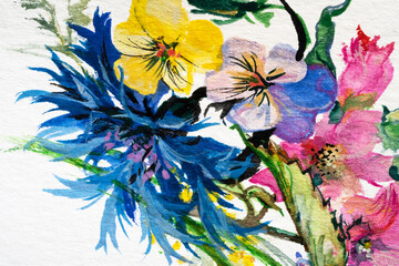 Watercolor painting, herbs and flowers on a white background.