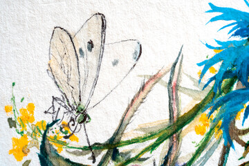 Cute butterfly with transparent wings, watercolor on paper.