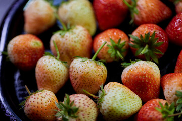 Close-up view of fresh strawberry 