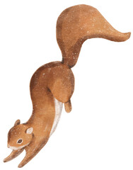 Illustration of cute squirrel