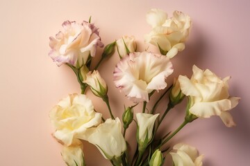  a bunch of white and pink flowers on a pink background with space for text on the bottom of the picture and bottom of the picture.  generative ai