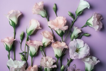  a bunch of pink and white flowers on a purple background with green stems and leaves on the stems and the petals on the end of the stems. generative ai