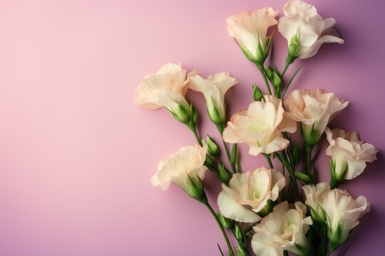  a bunch of white flowers on a purple background with space for text on the left side of the image is a purple background with a light pink background.  generative ai