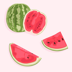 Watermelon whole, cut in half and its slices. Fresh fruits. Food icons.