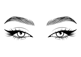 Fototapeta premium Vector Hand drawn beautiful female eyes with long black eyelashes and brows close up.