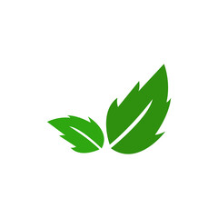 leaves icon on a white background, vector illustration