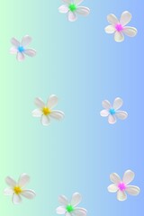 abstract background with flowers on a colored background, vector illustration.