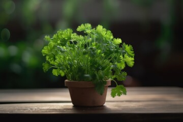 a pot of parsley on a wooden table - ai generated