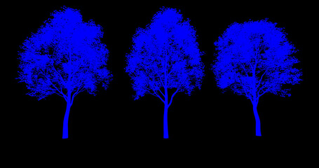 drzewo liściaste, kolorowy kształt na czarnym tle, render 3d, rendering , do wizualizacji i grafiki
