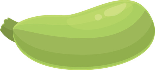 Garden food icon cartoon vector. Vegetable squash. Green plant