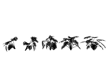 Kwiat liściasty, czarny kształt na białym tle, render 3d, do wizualizacji i grafiki