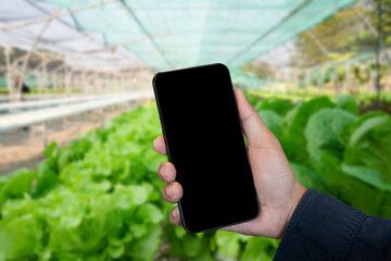 Hand holding smartphone screen vegetable garden background.