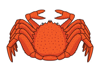 Japanese hairy crab called Kegani drawing in vector