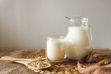 Milk in a jug and a glass, a wooden spoon with oatmeal and ears of wheat on the table