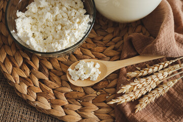 Wooden spoon with natural homemade cottage cheese, milk and ears of corn