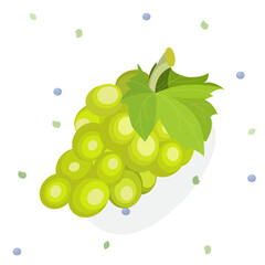 Flat grapes on white background in cartoon style