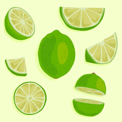 A set of lime icons whole and cut into pieces and slices. Hand drawn vector image. Fresh citruses. Summer food.