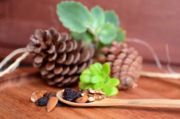 Wooden spoon of Dried fruits and mix nuts with wood backgroung and succulents. Front View