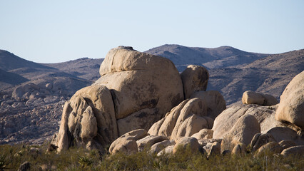 Rock Formation in Joshua Tree National Park