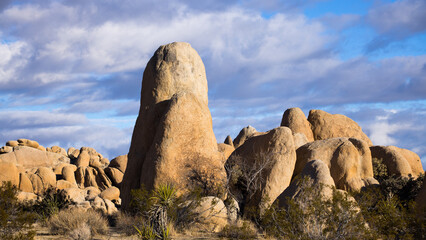 Rock Formation in Joshua Tree National Park