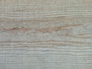 Grunge rough texture, wood texture. Naturally aged plank. Aged, rustic gray dark pine wood texture.
