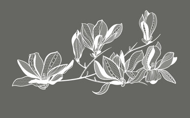 lace flower magnolia, bouquet, vector illustration