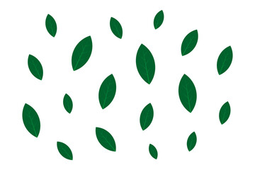 Leaf Background Design