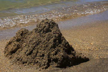 A pile of wet sand on the seashore. Blank for the sand castle. Summer sea holiday