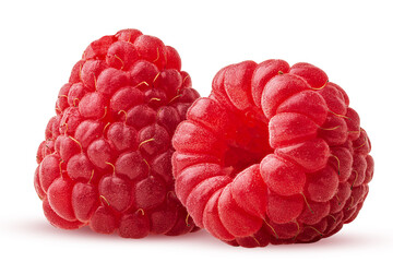 Two ripe raspberries