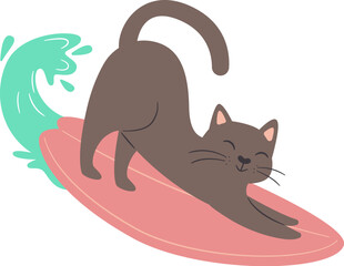 Cat On Surfboard