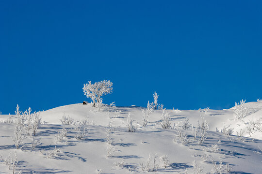 snow covered mountain and trees, Swedish lapland