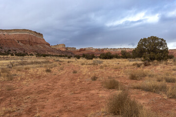 Red rock cliff faces lining the horizon of the high desert