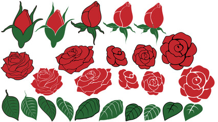 薔薇の花、葉っぱ、蕾　少しデフォルメ